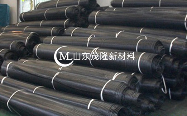 单向拉伸塑料土工格栅 第3张
