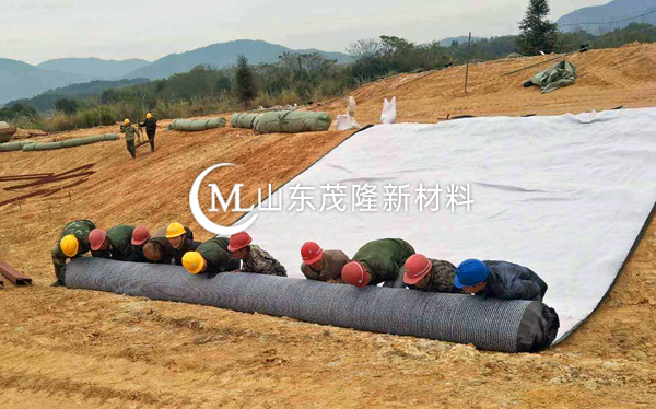 膨润土防水毯 第3张