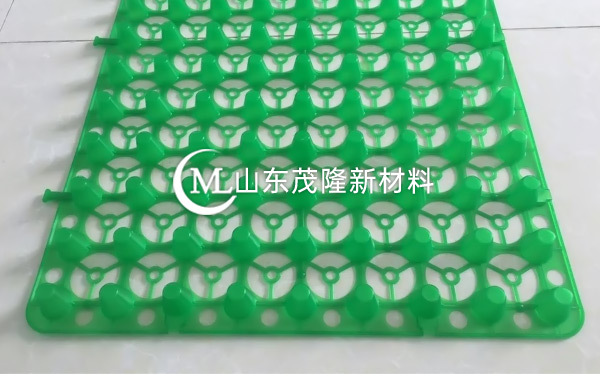 绿色蓄排水板 第2张