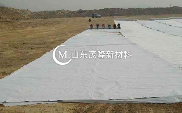 《天府机场TJ6标》土工格栅、土工布、排水板施工