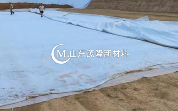 《现西咸新区高尔夫》土工布、复合土工布施工
