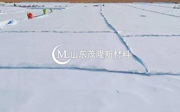 《台辉高速》土工布、土工格栅施工