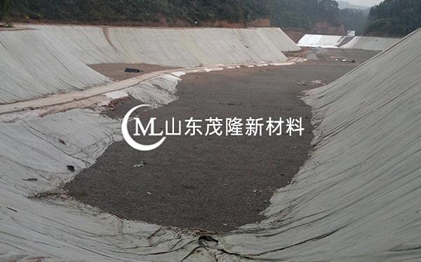 《东方环?？萍加邢薰尽吠凉げ?、土工膜施工