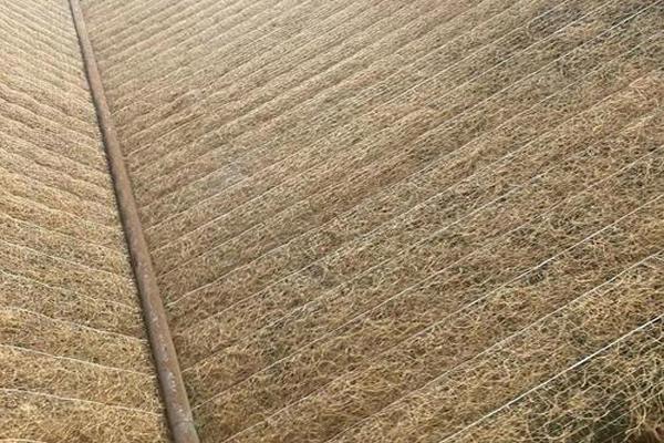 护坡工程会用到哪些土工材料？  第4张